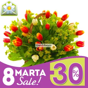 Красавица Элизабет Красавица Элизабет