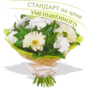 Ласковое утро